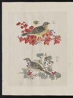 ku-speccoll:15739-38