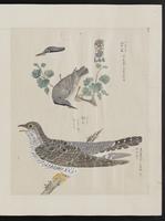 ku-speccoll:15739-41