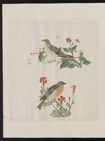 ku-speccoll:15739-42