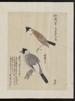 ku-speccoll:15739-45