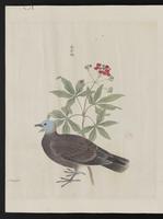 ku-speccoll:15739-48