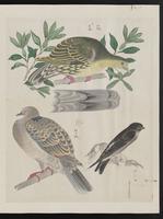 ku-speccoll:15739-49