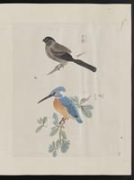 ku-speccoll:15739-65