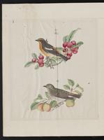 ku-speccoll:15739-70