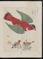 ku-speccoll:15739-73