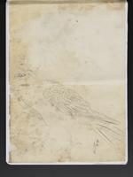 ku-speccoll:15819-33