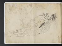 ku-speccoll:15819-35