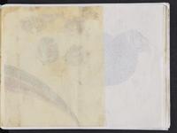 ku-speccoll:15819-49