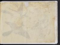 ku-speccoll:15819-55