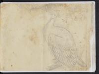 ku-speccoll:15819-65