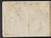 ku-speccoll:15819-66