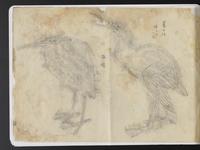 ku-speccoll:15819-70