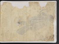 ku-speccoll:15819-73