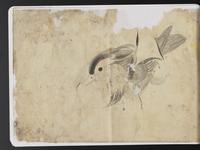 ku-speccoll:15819-74