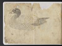 ku-speccoll:15819-76