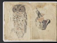 ku-speccoll:15819-78