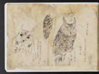 ku-speccoll:15819-82