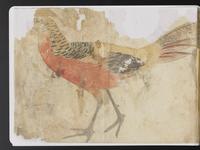 ku-speccoll:15819-84