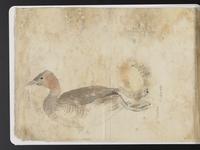 ku-speccoll:15819-88