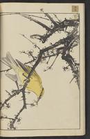 ku-speccoll:15913-16