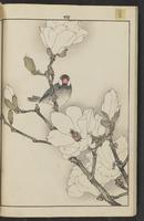 ku-speccoll:15913-18