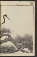 ku-speccoll:15913-20