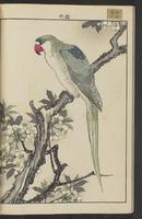 ku-speccoll:15913-34