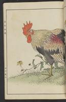 ku-speccoll:15913-37