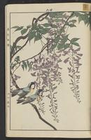 ku-speccoll:15913-47