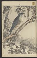 ku-speccoll:15913-67