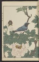 ku-speccoll:15913-69