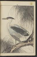 ku-speccoll:15913-70