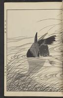 ku-speccoll:15913-91