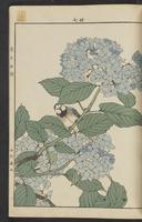 ku-speccoll:15913-101