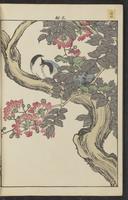 ku-speccoll:15913-104