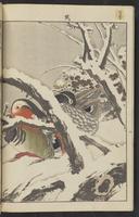 ku-speccoll:15913-172