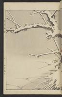 ku-speccoll:15913-173