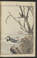 ku-speccoll:15913-180