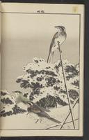 ku-speccoll:15913-186