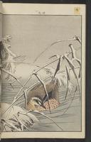 ku-speccoll:15913-200