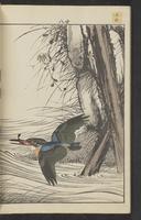 ku-speccoll:15913-204