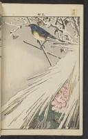 ku-speccoll:15913-206