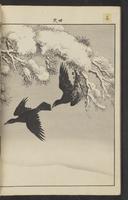 ku-speccoll:15913-208