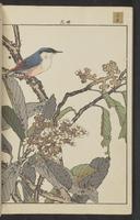 ku-speccoll:15913-210