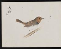 ku-speccoll:16134-10