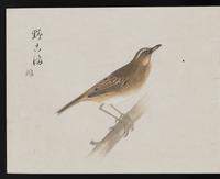 ku-speccoll:16134-12