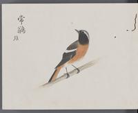 ku-speccoll:16134-14