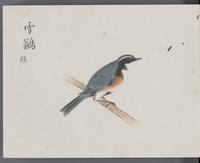 ku-speccoll:16134-16