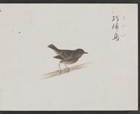 ku-speccoll:16134-19