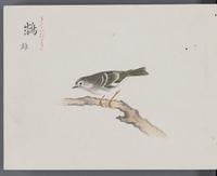 ku-speccoll:16134-20